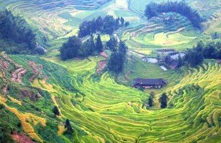 推荐 5 家上海房产抵押贷款公司